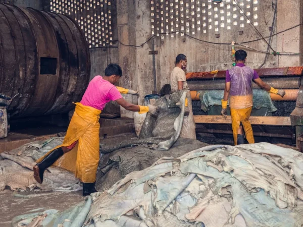 Establishing an effective Social Compliance platform and ensuring labour standards for workers towards to achieve LWG certification in the Leather value chain in Bangladesh